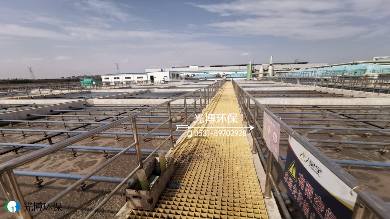 星宇一次性丁腈手套废水处理项目